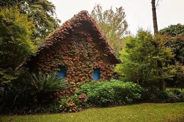 Les avantages d’une maisonnette de jardin en bois avec terrasse pour profiter de l’extérieur