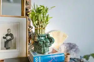 Créez une harmonie parfaite dans votre maison grâce aux secrets du Feng Shui
