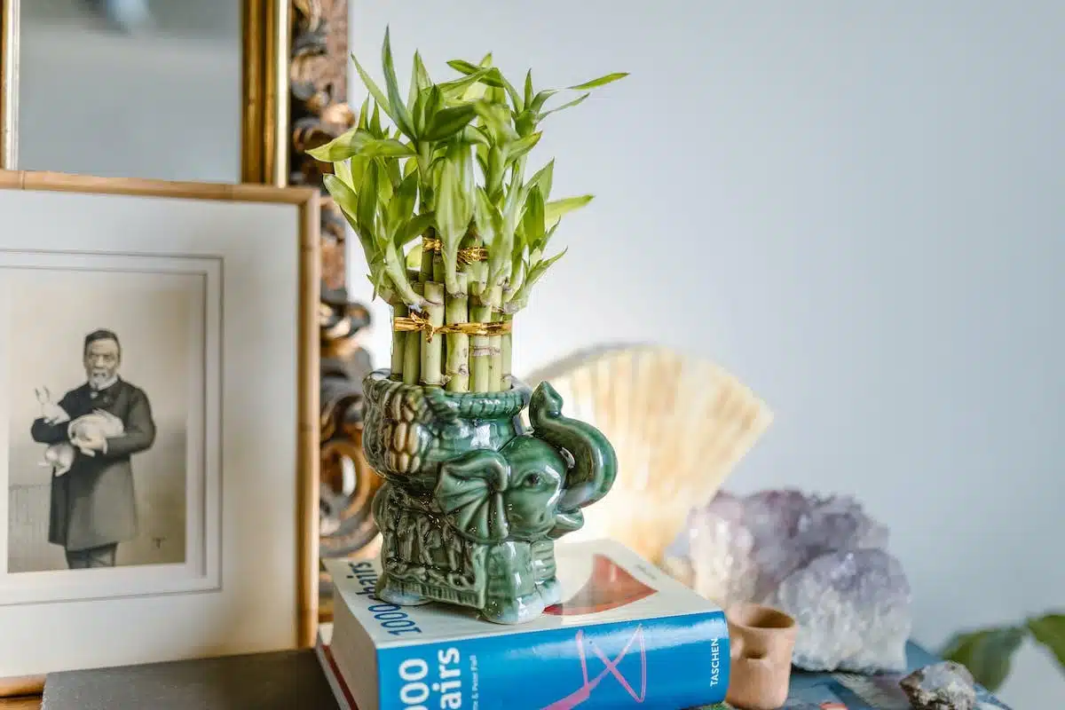 Créez une harmonie parfaite dans votre maison grâce aux secrets du Feng Shui