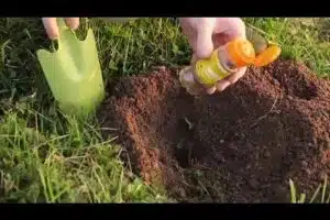 Comment se débarrasser des taupes ?