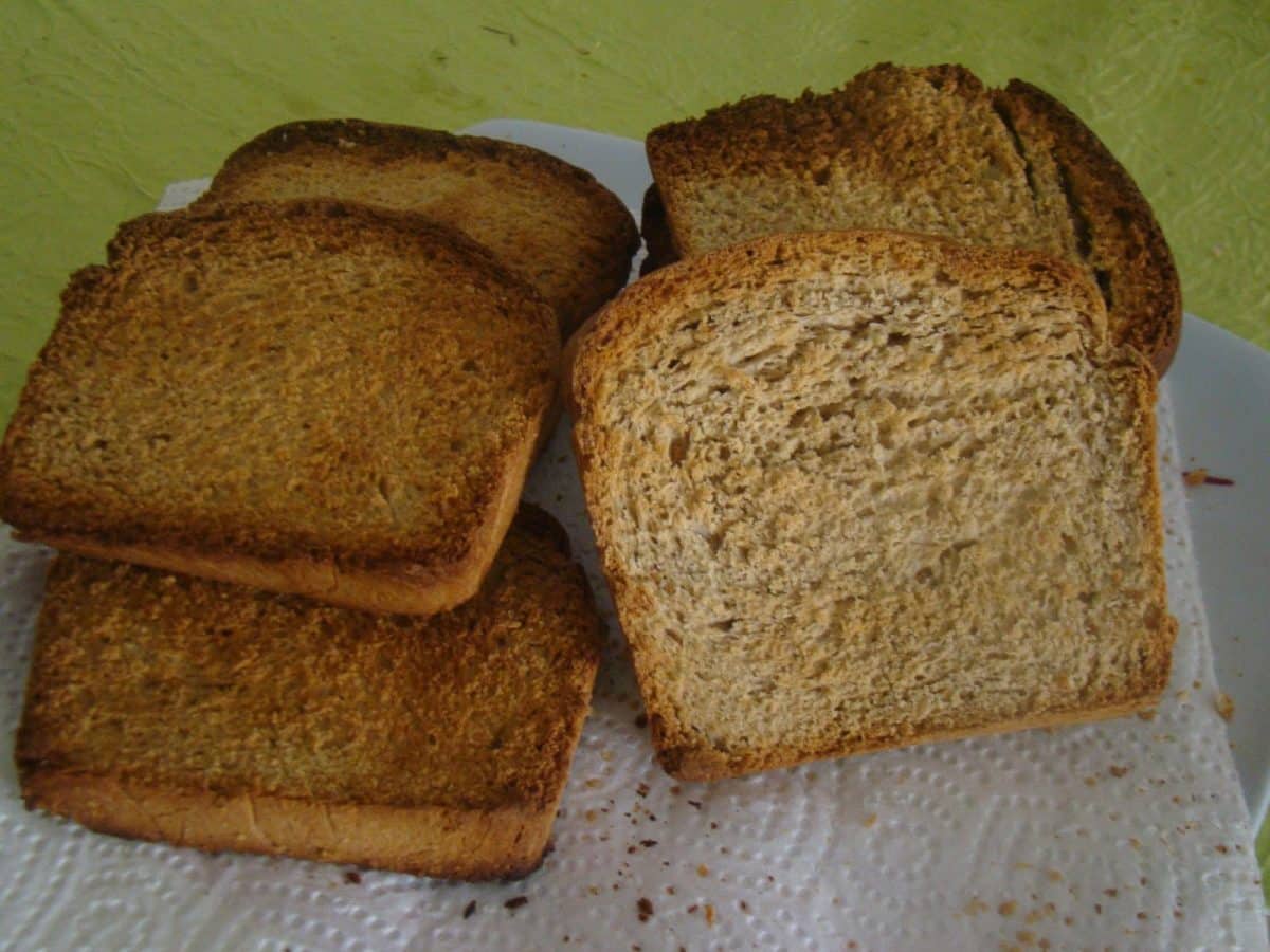 manger des biscottes