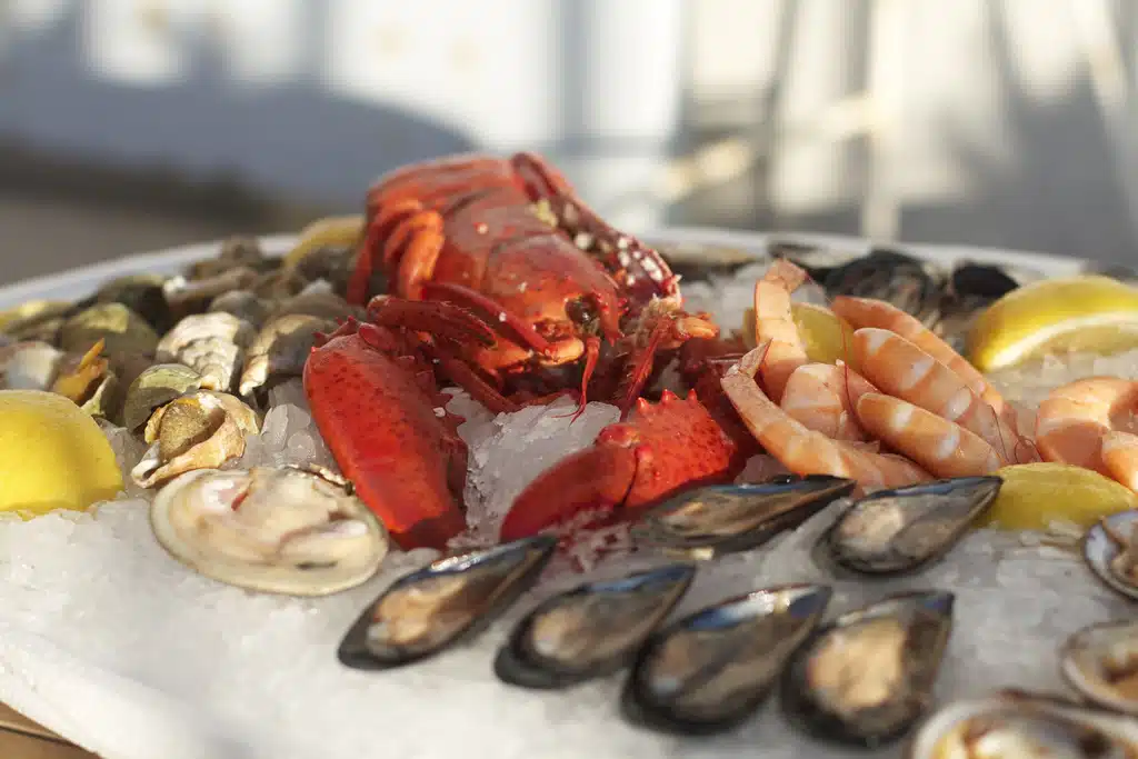 Découvrez les ormeaux, un délicieux fruit de mer