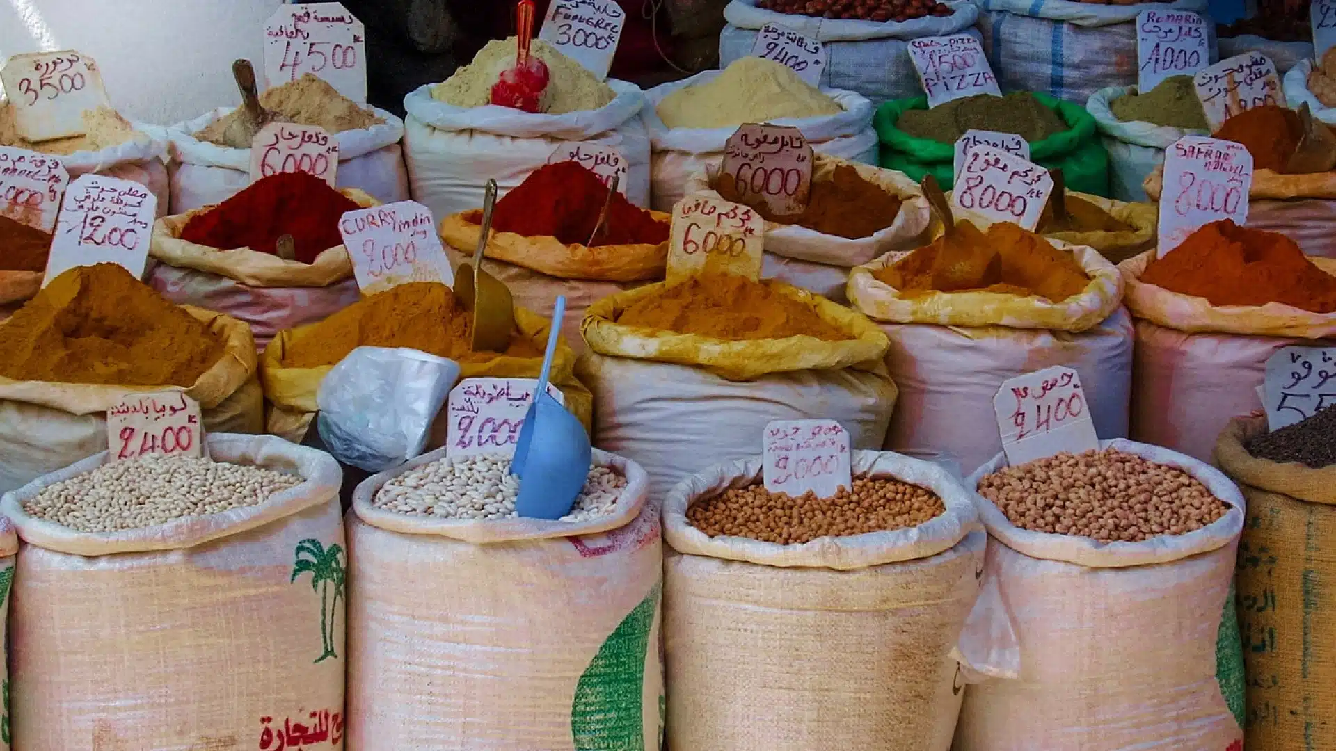 Vacances au Maroc : Quelles sont les meilleures spécialités culinaires à découvrir ?